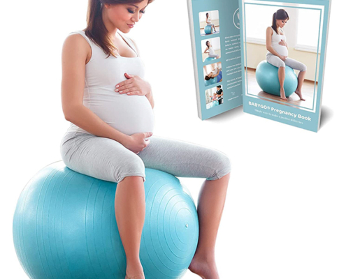 Pregnancy Yoga Labor & Exercise Ball & Book Set